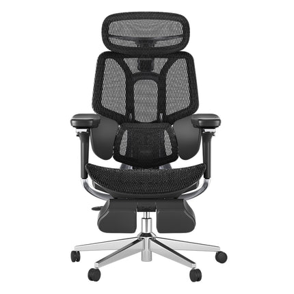 Pro Ergonomic Chair with Footrest