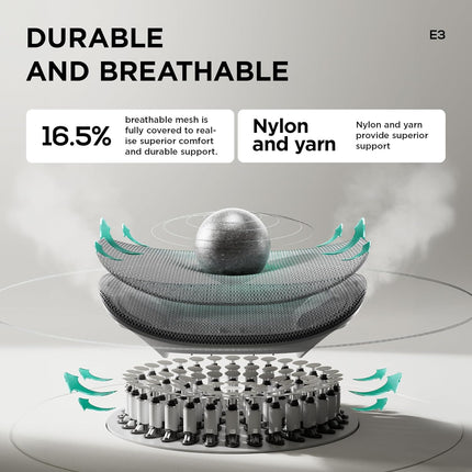 Pro Ergonomic Chair with Footrest