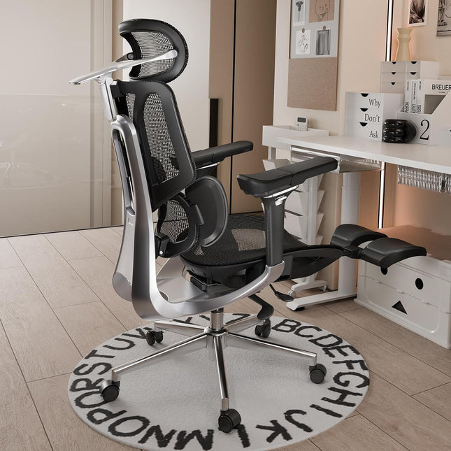Pro Ergonomic Chair with Footrest